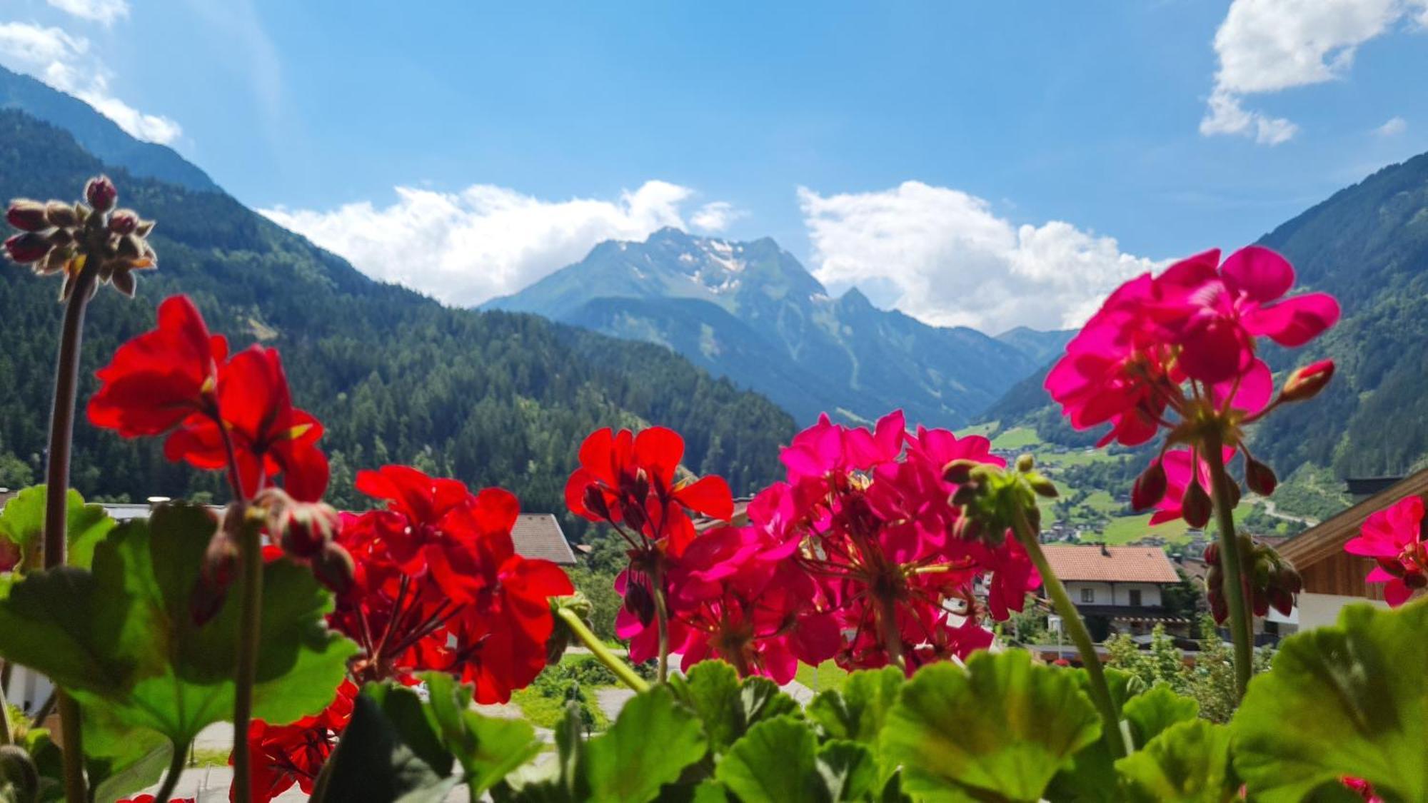 Scheulinghof Hotel Mayrhofen Exterior foto