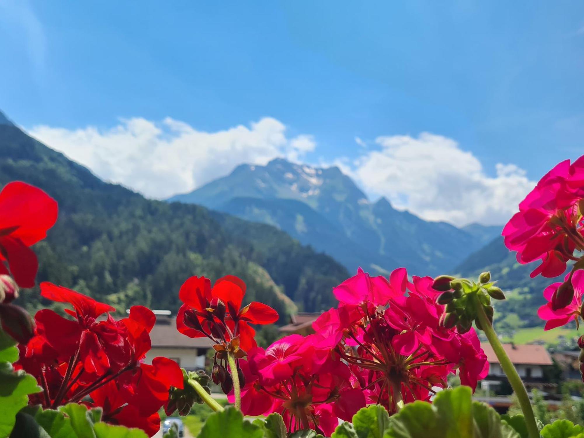 Scheulinghof Hotel Mayrhofen Exterior foto